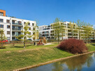 Przestronny 4-pokojowy apartament Wilanów - 14