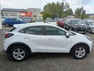 Ford Puma *Navi *FULL LED *Climatronic *ALU *PDC *Serwis *Gwarancja - 7