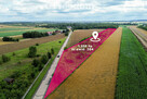 Działka 1,358 ha z opcją podziału | Radostków - 1