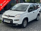 Fiat Panda Salon Polska Poleasingowy I właściciel Serwis ASO VAT 23% Bezwypadkowy