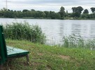 Działka z linią brzegową- Jezioro Mikorzyn / Ślesin- 2800 m2 - 2