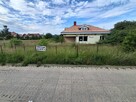Koszenie trawy, wycinka samosiejek, pielenie itp. - 9