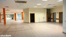 Rybnik Śródmieście 600 m² na wynajem | parter | winda | W3 - 13