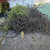 Koszenie trawy, wycinka samosiejek, pielenie itp. - 4