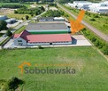 HALA MAGAZYNOWO–BIUROWA DO WYNAJĘCIA