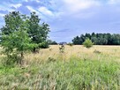 Działka budowlana Grzymalin gm. Miłkowice, - 1