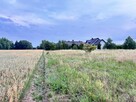 Działka budowlana Grzymalin gm. Miłkowice, - 4