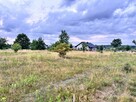 Działka budowlana Grzymalin gm. Miłkowice, - 8