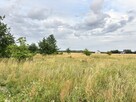 Działka budowlana Grzymalin gm. Miłkowice, - 11