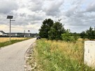 Działka budowlana Grzymalin gm. Miłkowice, - 13