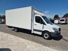 Sprinter 316 - Kontener - Winda - 1WŁ - SERWIS - 6