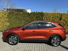 Ford Escape 2.0 EcoBoost, automat,4x4 - 11