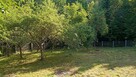Dom Przy Lesie Koło Brzeska - 2
