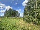 Działka budowlana Nowe Osiny - 1