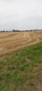 Działka 1,67 ha rolno-inwestycyjna w Lututowie - 1