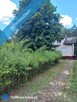 Sprzedam dom 145 m2 na działce o powierzchni 4693 m2 - 3