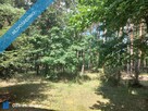 Sprzedam dom 145 m2 na działce o powierzchni 4693 m2 - 5