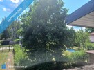 Sprzedam dom 145 m2 na działce o powierzchni 4693 m2 - 9