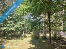 Sprzedam dom 145 m2 na działce o powierzchni 4693 m2 - 11