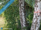 3223m2 + WZ na dwa domy! Słynny zalew Sielpia Wielka zwana świętokrzyską Ibizą! Działka doskonała do - 4