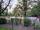 Apartament 4-pok.2023r.Przy Parku Zacz. Dorożki. - 9