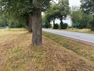 Na sprzedaż ładna uzbrojona działka budowlana w Łochowie - 4