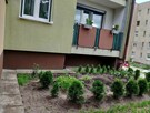 Sprzedam mieszkanie - 8
