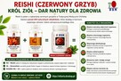 Wzmocnij odporność zanim będzie za późno! - 12