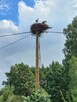 Agroturystyka u Borowej Ciotki - 8