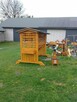 Pergola z huśtawkami - 3