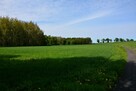Działka z lasem i łąką (7,21 ha) w pobliżu Morza Bałtyckiego - 10