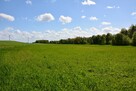 Działka z lasem i łąką (7,21 ha) w pobliżu Morza Bałtyckiego - 8