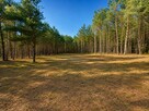 Działka budowlana 2559 m² w Karczewku, gmina Kiszkowo | WZ | - 6