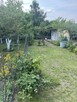 Ogródek działkowy 252 m2 + media, ul. Wojanowska - 2