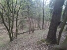 Las ze źródłami okolice Szpilówki - 3