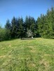 Gotowa działka na Mazurach 100m od jeziora z pomostem - 5