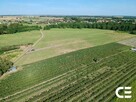Działka Bogusławice - 7