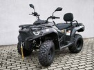 QJMOTOR SFA 300 ATV Quad QJMOTOR SFA300 23KM 4x2 Homologacja T3B - 3
