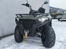 QJMOTOR SFA 300 ATV Quad QJMOTOR SFA300 23KM 4x2 Homologacja T3B - 8