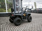 QJMOTOR SFA 300 ATV Quad QJMOTOR SFA300 23KM 4x2 Homologacja T3B - 14