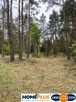 Działka w lesie 2064 m² - letniskowa i całoroczna