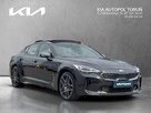 Polift/Stinger 3.3 Twin Turbo 366KM/ Salon PL/ 1 właściciel - 7