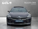 Polift/Stinger 3.3 Twin Turbo 366KM/ Salon PL/ 1 właściciel - 8