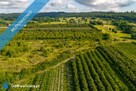 Działka w MPZP w Binowie. - 4