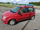 Fiat Panda - 2