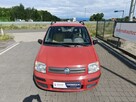 Fiat Panda - 4