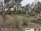 Cicha kształtna działka w otulinie lasu koło rzeki - 14