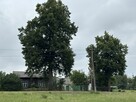 Sprzedam siedlisko 1,2 ha w okolicach Płocka - 1