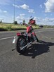 Honda Rebel Custom - 2