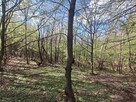 Tanio - Działka widokowa przy szczycie w Paśmie Szpilówki - 14